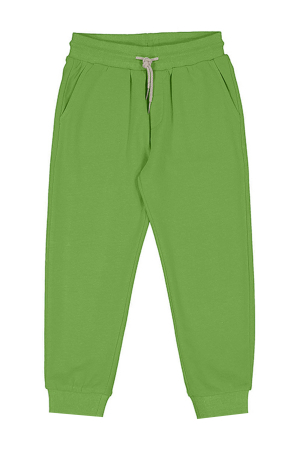 Одежда Брюки Зелёный