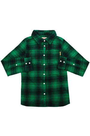 Одежда Рубашка Зелёный