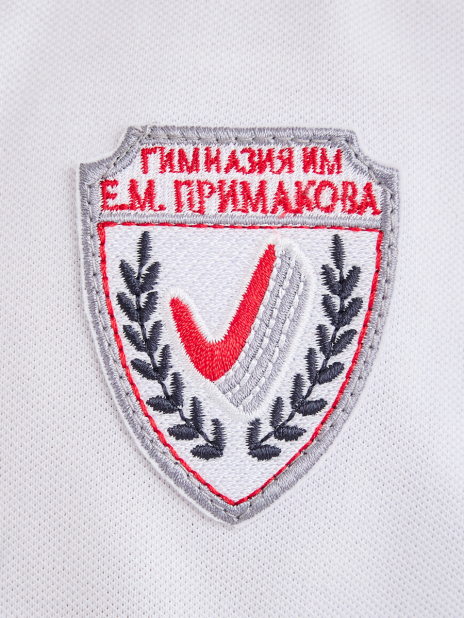 Гимназия им.Е.М.Примакова Поло Белый