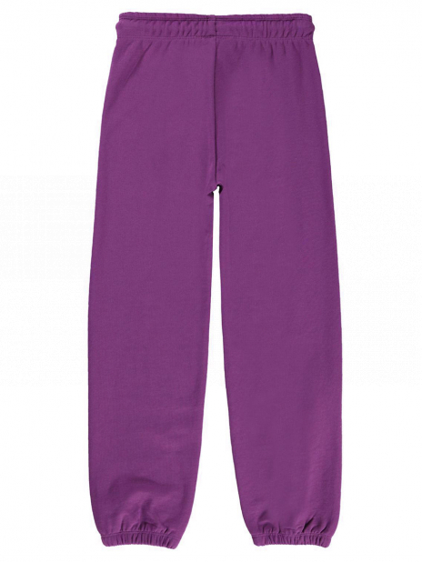 Спортивные брюки Брюки Фиолетовый