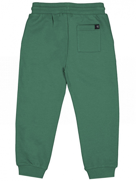 Спортивные брюки Брюки Зелёный
