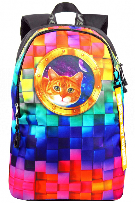 Школьные рюкзаки Рюкзак Разноцветный