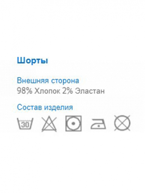 Шорты Шорты Разноцветный