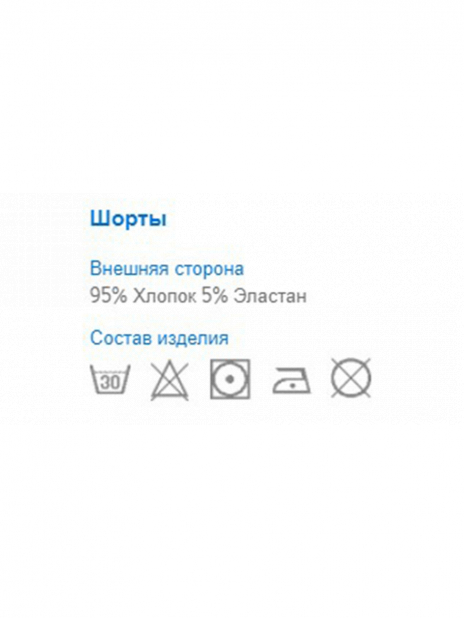 Шорты Шорты Зелёный