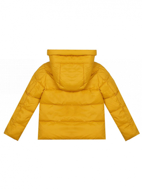 Куртки короткие Куртка Жёлтый