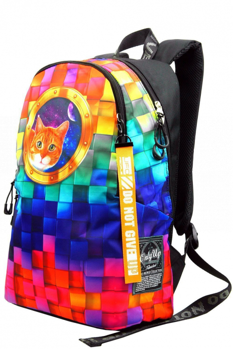 Школьные рюкзаки Рюкзак Разноцветный