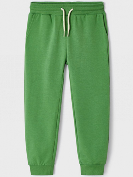 Спортивные брюки Брюки Зелёный