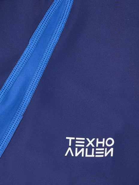 Областной технолицей им. В. И. Долгих Шорты Синий