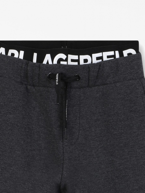 Спортивные брюки Брюки Серый