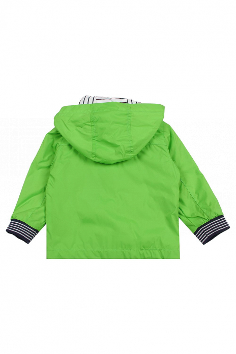Ветровки Куртка Зелёный