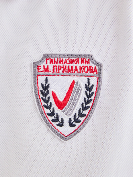 Гимназия им.Е.М.Примакова Поло Белый