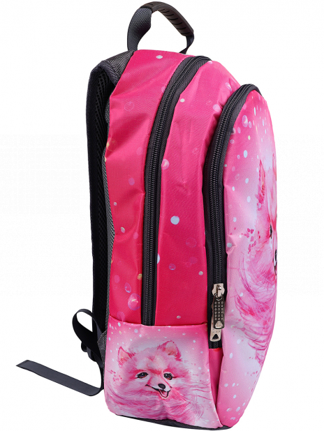Молодежные рюкзаки Рюкзак Розовый