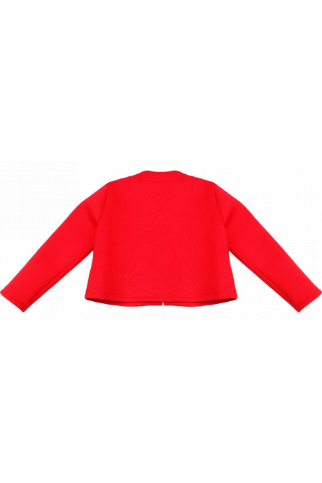 Пиджаки Жакет Красный