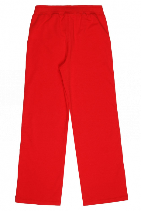 Спортивные брюки Брюки Красный