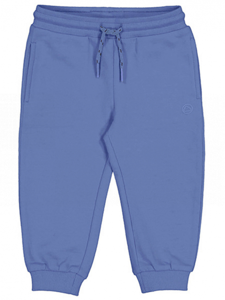 Спортивные брюки Брюки Синий