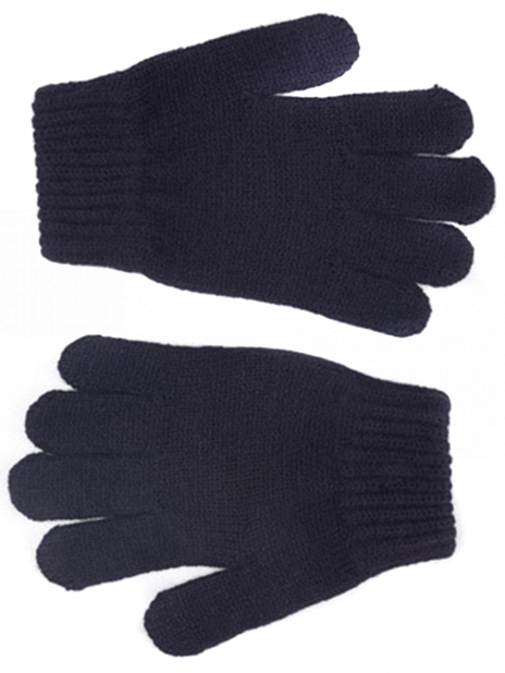 Перчатки Перчатки Синий