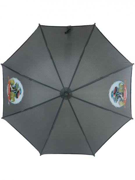 Зонты Зонт Серый