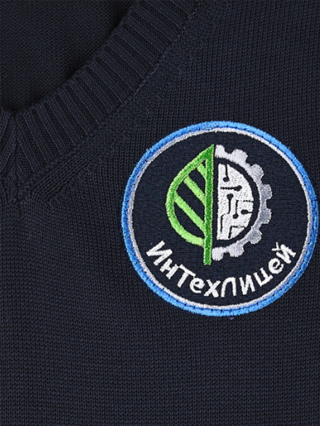 Инновационно-технологический лицей Жилет Синий